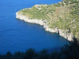 Clicca qui per vedere l'immagine in dettaglio